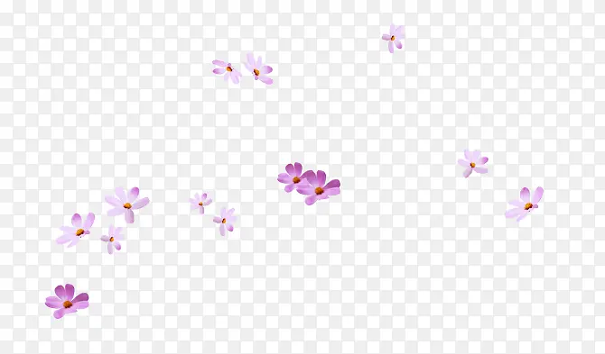 紫色花朵漂浮