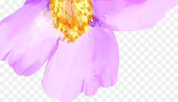 插画紫色花朵花瓣