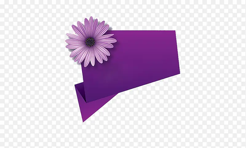 紫色的标题框