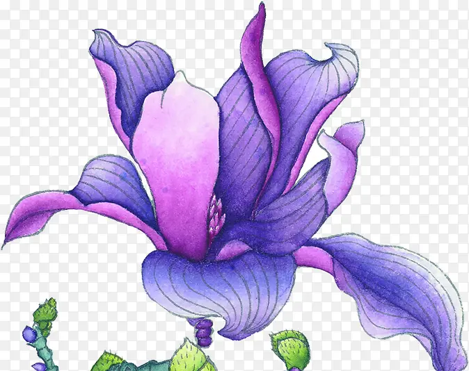 手绘漫画紫色花朵