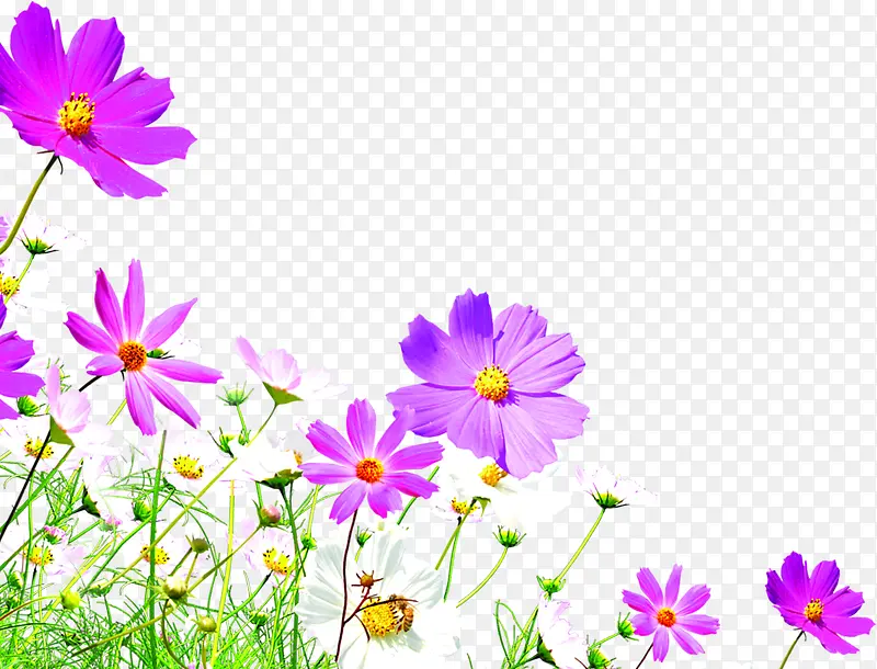 创意海报效果设计植物花朵紫色