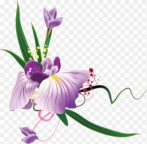 春天手绘紫色花朵植物