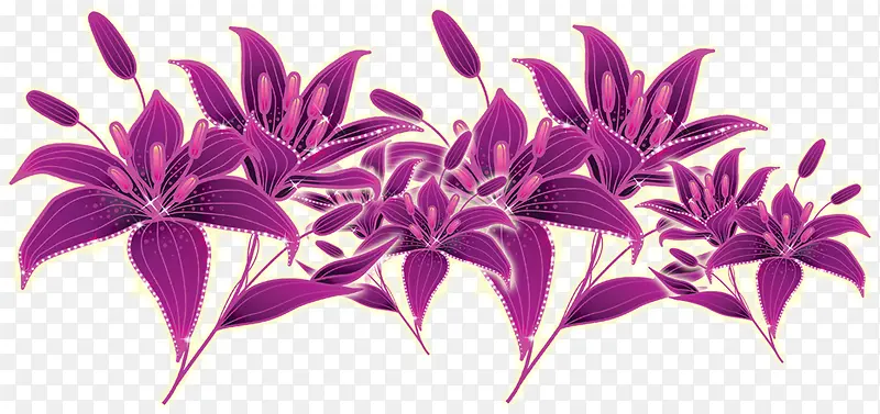 紫色手绘星光花朵