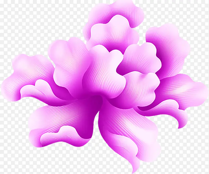 紫色艺术花朵图片