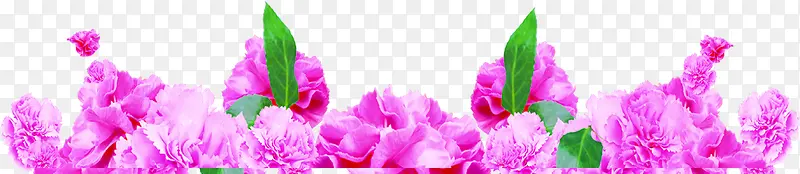 紫色卡通花朵植物设计母亲节