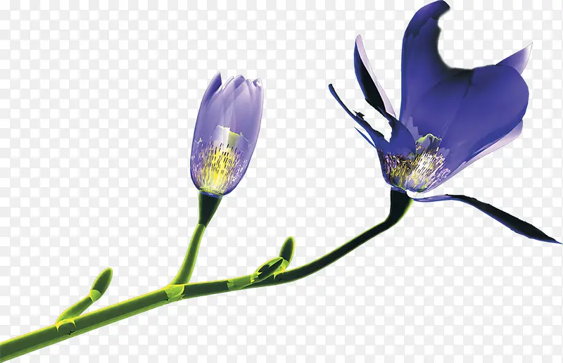 紫色手绘春天花朵装饰