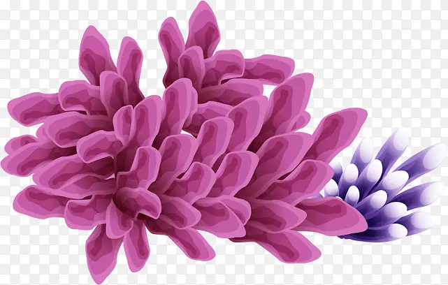 粉紫色海底世界花朵