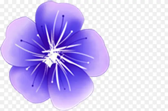 紫色卡通海报植物花朵设计