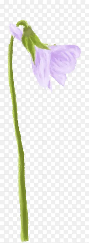 紫色水彩花朵低头