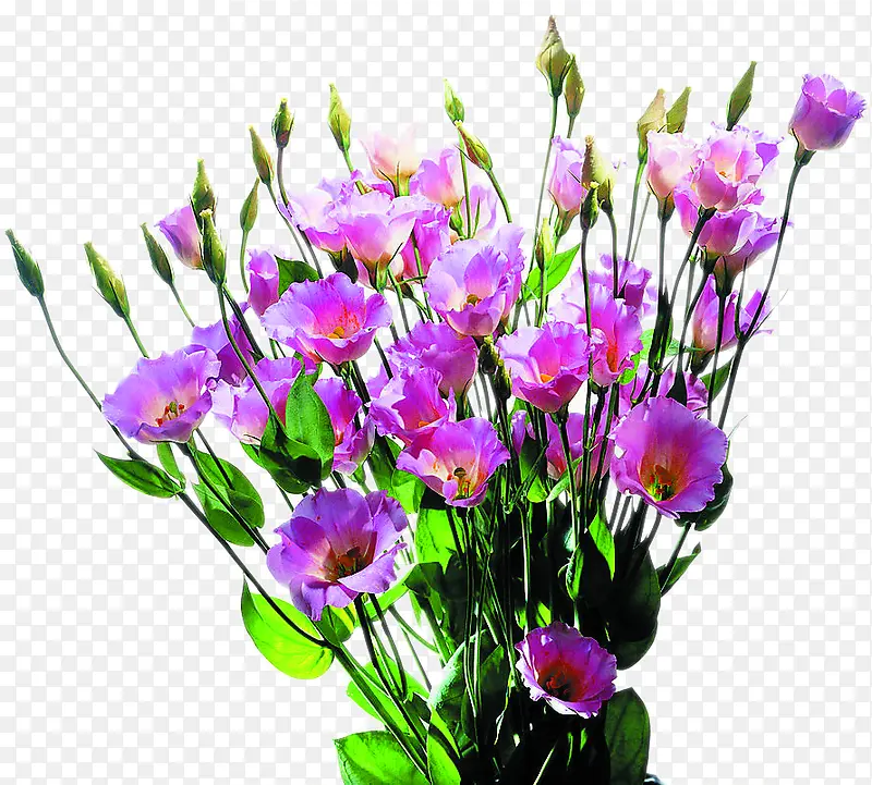 淡雅紫色鲜花装饰