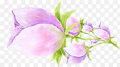 手绘紫色唯美花朵背景