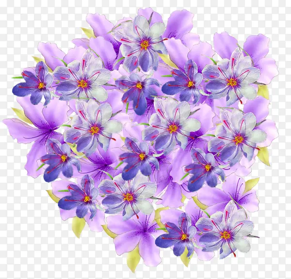 紫色高清鲜花装饰