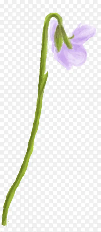 紫色唯美艺术花朵植物