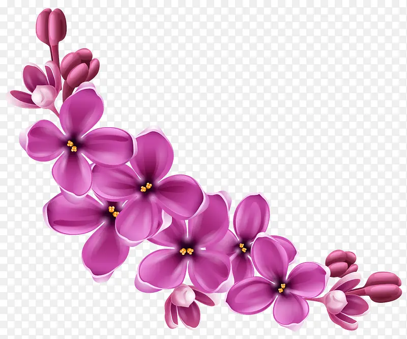 创意合成效果手绘紫色的花卉