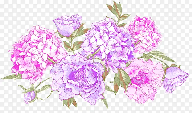 紫色唯美手绘花朵植物