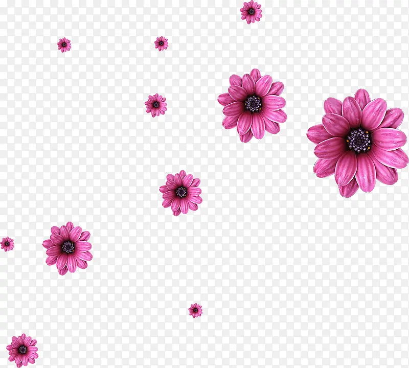 手绘紫色花朵花瓣美景