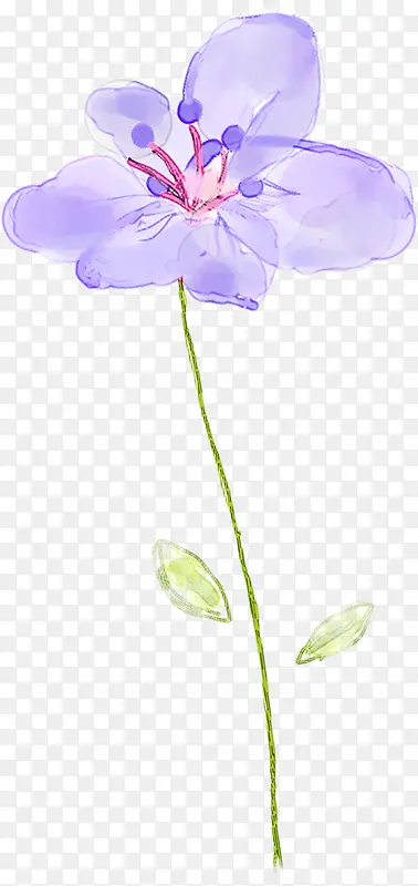 手绘紫色淡彩花卉封面