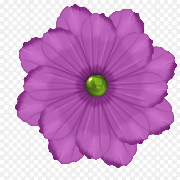 紫色鲜花