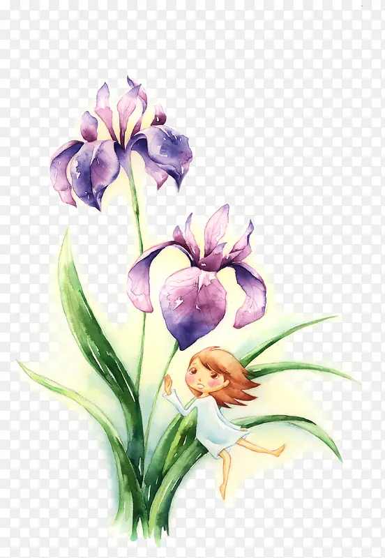 手绘紫色唯美花朵植物
