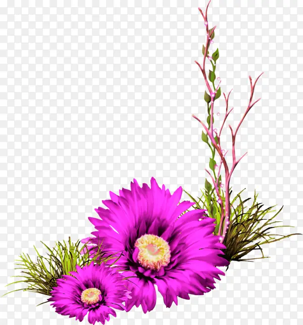 紫色的鲜花