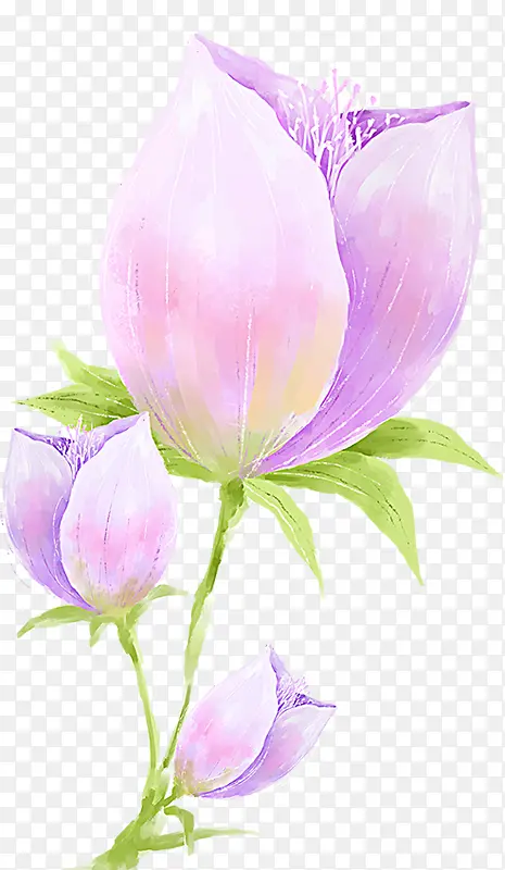 手绘紫色唯美花朵图片