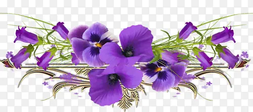 紫色花朵花枝图片