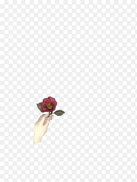 立绘手花朵红色免抠图片