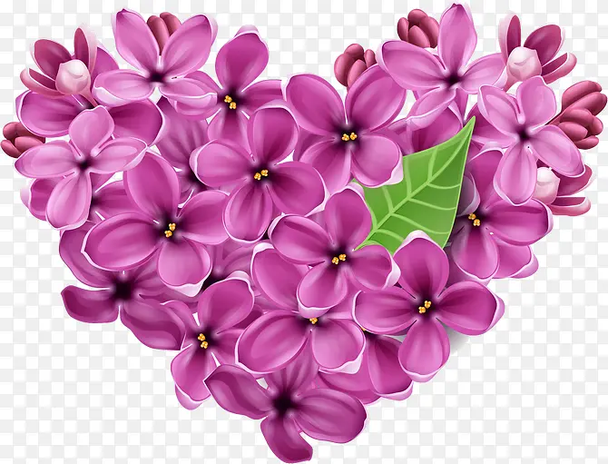紫色花朵爱心树叶