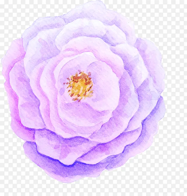 手绘紫色花朵装饰植物春日
