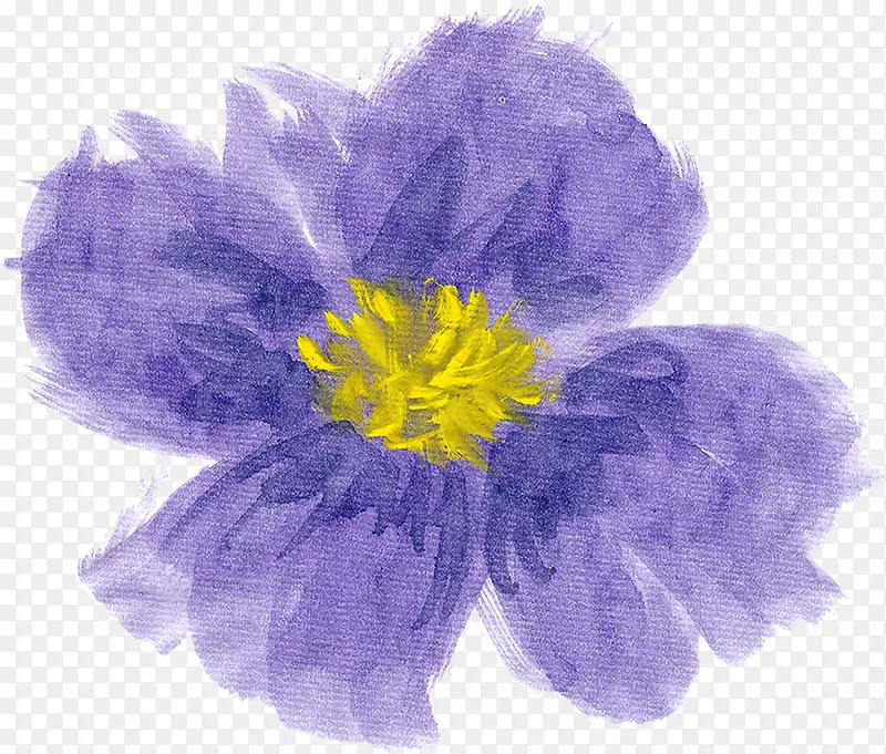 紫色手绘花朵美丽