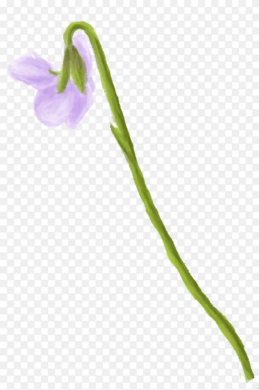 紫色手绘花朵植物