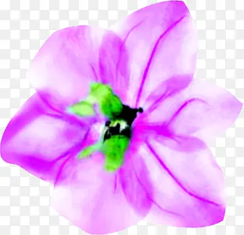 紫色梦幻水彩花朵