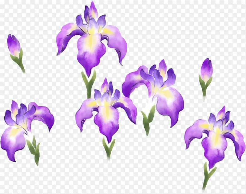 手绘紫色唯美花朵美景