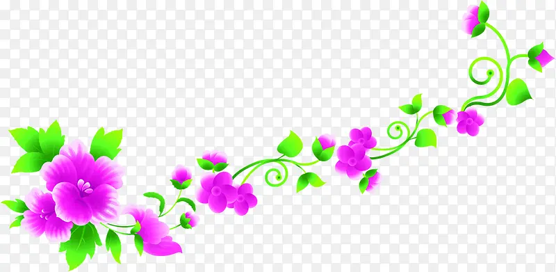 紫色花朵植物装饰