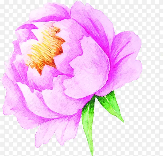 手绘紫色艺术花朵植物