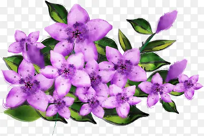 紫色花卉约会背景