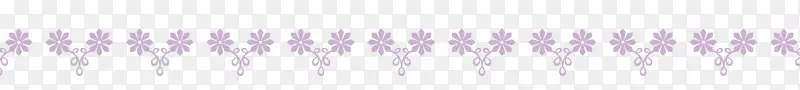 紫色小花边框