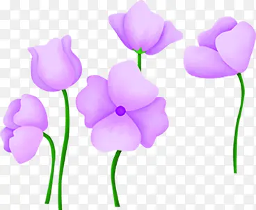 手绘紫色花朵美丽