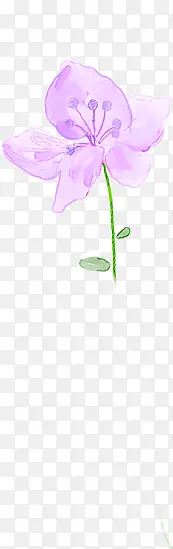 手绘紫色淡彩花卉图片