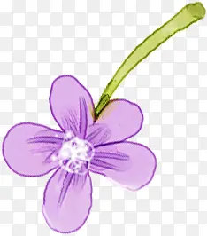 紫色唯美手绘花朵设计