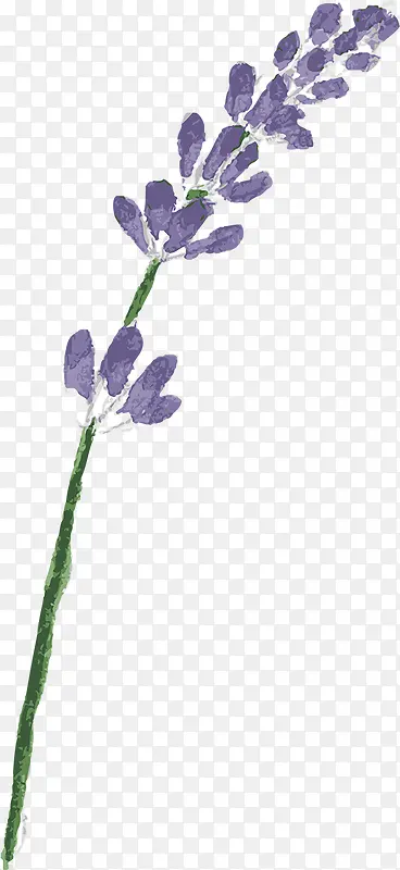 手绘紫色花卉卡片设计