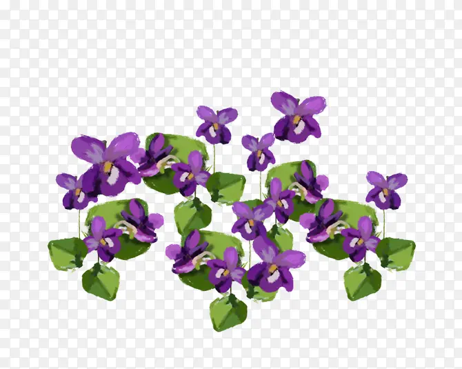 一片紫色花朵装饰