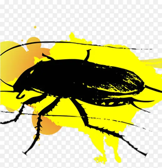 黄色背景蟑螂