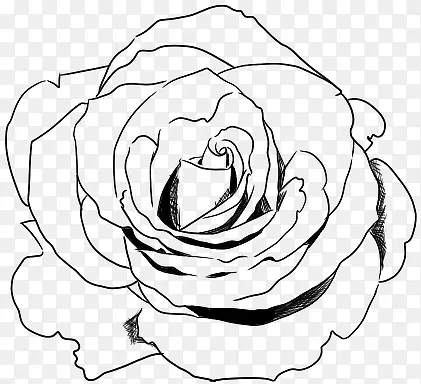 黑色独特玫瑰花手绘