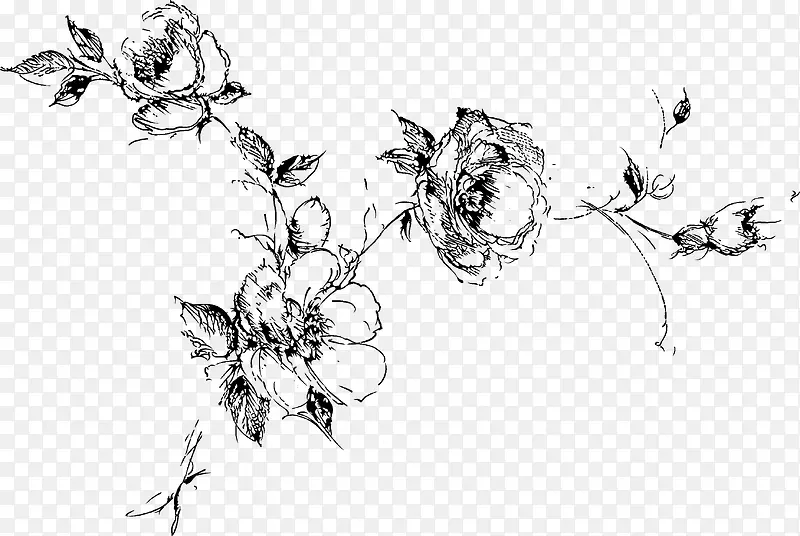 手绘黑色线条玫瑰花