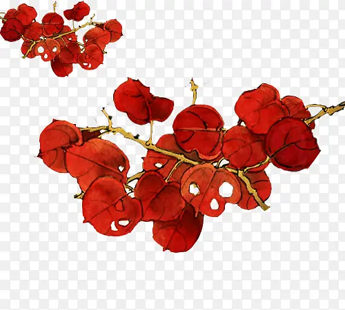 红色花朵图案