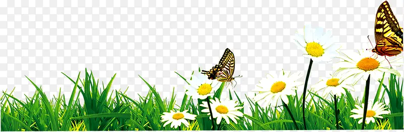 春季自然植物蝴蝶