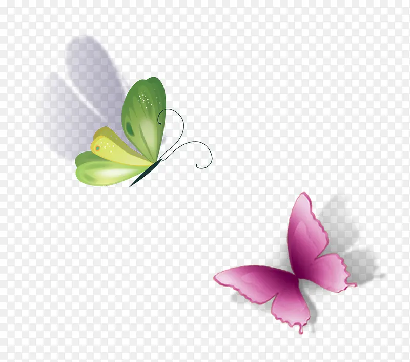 绿紫蝴蝶图片素材