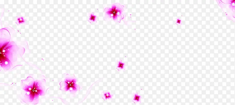 粉色梦幻半透明花朵