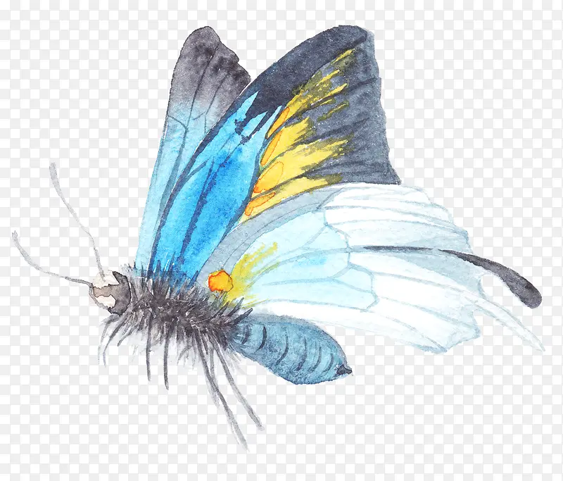 蓝色手绘的蝴蝶素材
